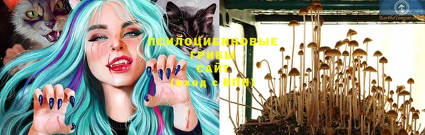 молекула духа Алексин