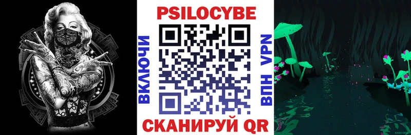 Галлюциногенные грибы Psilocybe Нефтекумск